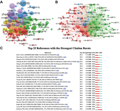 Figure 4 (A) Network map of citation analysis of documents with more than 5 citations. (B) Network map of co-citation analysis of references. (C) Top 25 references with strongest citation bursts of publications regarding exosomes in osteoarthritis.