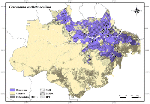 Figure 32. Occurrence area and records of Cercosaura ocellata ocellata in the Brazilian Amazonia, showing the overlap with protected and deforested areas.
