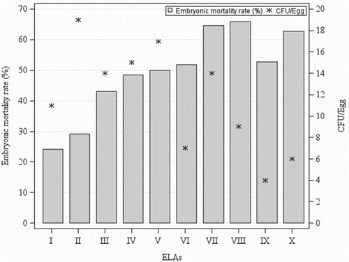 Figure 3. Chicken EMR produced by the E. faecalis strain K923/96 used as positive control in 10 individual ELAs when 10-day-old embryos were inoculated into the AC with the represented number of CFU (*).