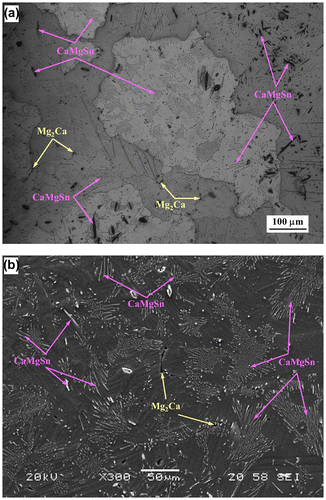 Figure 1. Microstructure of Mg–5Sn–2Ca alloy: (a) optical and (b) SEM images.