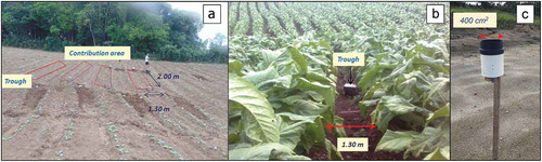 Figure 2. Technical characteristics of the installation of the Gerlach troughs: (a) planting, (b) harvesting, and (c) manual raingauge.