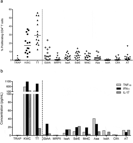 Figure 1. CD4+ T-cell activation by SA proteins. Background (medium)-subtracted SA-specific responses from healthy donor PBMCs cultured with controls or SA antigens are represented in terms of either the frequencies of proliferating cells in the CD4+ T cells (a), or the cytokine (IFN-γ, IL-17, TNF-α) production measured in culture supernatants (b). TT, tetanus toxoid (positive control). KWC, SA killed whole-cell antigen (positive control). TRAP, malaria thrombospondin-related anonymous protein (negative control). Each symbol in (a) represents one subject. Horizontal lines (a) and bars (b) represent medians calculated for the 14 to 16 donors included in each experiment