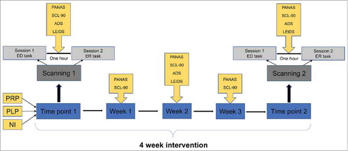 Figure 1. Schematic representation of multiparametric study design.