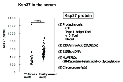 Figure 8. Killer specific secretory protein of 37kDa (Ksp37 protein) in the serum of patients with tuberculosis. Ksp37 protein in the serum of 31 patients with TB and 60 healthy volunteers were assessed by ELISA.