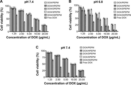 Figure 8 Cell cytotoxicity of various DOX-loaded nanoconjugates and free DOX at (A) pH 7.4 and (B) pH 6.8 on Huh7 cells and at (C) pH 7.4 on fragment HAb18 F(ab′)2 receptor-negative A549 cells by CCK-8 assay (n=5).Abbreviations: CCK-8, cell counting kit-8; DOX, doxorubicin; HDPEPM, nanoconjugate formed by covalent attachment of fragment HAb18 F(ab′)2 and 2,3-dimethylmaleic anhydride to polyethylenimine-modified poly(β-L-malic acid); PEPM, polyethylenimine-modified poly(β-L-malic acid); HPEPM, nanoconjugate formed by covalent attachment of fragment HAb18 F(ab′)2 to polyethylenimine-modifid poly(β-L-malic acid); DPEPM, nanoconjugate formed by covalent attachment of 2,3-dimethylmaleic anhydride to polyethylenimine-modifid poly(β-L-malic acid); SPEPM, nanoconjugate formed by covalent attachment of succinic anhydride to polyethylenimine-modifid poly(β-L-malic acid).
