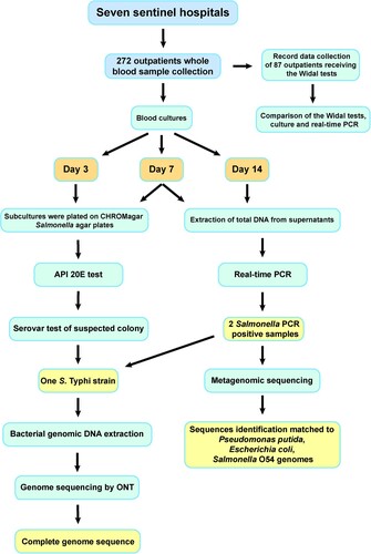 Figure 1. Laboratory procedure and results from examining patient blood samples.