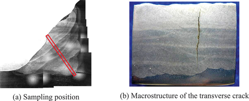 Figure 11. Sampling position and macrostructure of the transverse crack.