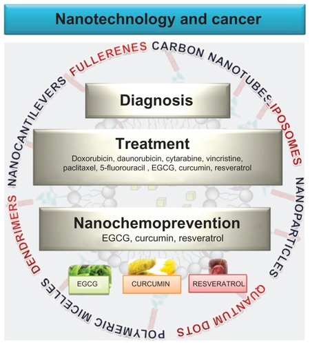 Figure 1 Nanotechnology in cancer treatment, diagnosis and prevention. Nanotechnology is being developed in cancer primarily for treatment and diagnosis. Liposomes and nanoparticles are now extensively utilized for delivery of chemotherapeutic agents directly to the target sites. Other drug delivery carriers developed include quantum dots, polymeric micelles, dendrimers and carbon nanotubes. Cancer diagnosis and detection has been benefited by the use of quantum dots, nanocantilevers, and carbon nanotubes. More recently, nanotechnology has also been utilized for delivery of natural products such as EGCG, resveratrol and curcumin in the hopes that this technology could also benefit cancer prevention.Abbreviation: EGCG, epigallocatechin-3-gallate.