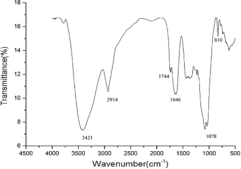 Figure 2. FTIR spectrum of DNP-W6 from Dendrobium nobile Lindl.