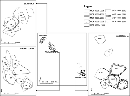 Figure 1. Annual territories of the 16 indri groups in each site: six groups in the Analamazaotra Special Reserve, three groups in the Mitsinjo Station Forestière, and seven groups in the Maromizaha forest. Polygons represent the minimum convex polygons (MCPs) at 100%. The legend box identifies the different lines used to draw annual MCP, allowing the relative location of groups’ territory in the same year, as well as the area occupied by a group through the years, to be distinguished.