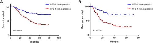 Figure 3 Survival of HCC patients with MPS-1 expression. (A) Kaplan–Meier curves of OS in HCC patients with high and low MPS-1 expression (P<0.01). (B) Kaplan–Meier curves of PFS in HCC patients with high and low MPS-1 expression.