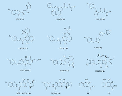 Figure 3.  Representative structures of HIV integrase inhibitors binding at its active site.