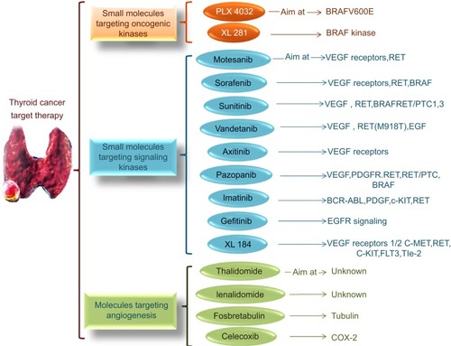 Figure 1 Several small molecules are valid for thyroid cancer target therapies. These molecules can be categorized as the molecules targeting oncogenic kinases, signaling kinases, and vasculature and angiogenesis process. More than these molecules there are some other types of molecules which targeting epigenetic mechanisms (Fosbretabulin, Romidepsin, Celecoxib, Vorinostat, Valproic acid, Azacytidine, and Decitabine) or nuclear receptors.