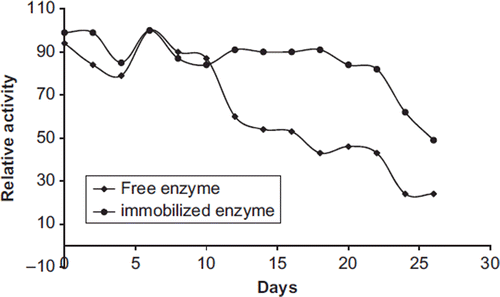 Figure 6. Storage stability of free and immobilized PON1 from human serum.