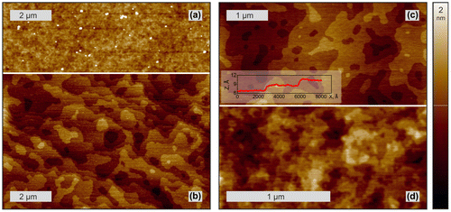 Figure 2. Typical surface morphology of a GGG substrate before (a) and after annealing (b) and of YIG layer grown at 1000 °C (c) and 850 °C (d). The inset shows a height profile across the two adjacent atomic steps.