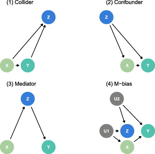 Fig. 2 Directed acyclic graphs describing the four data generating mechanisms: (1) Collider (2) Confounder (3) Mediator (4) M-Bias.