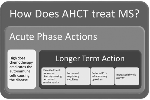 Figure 2. This figure highlights the possible biochemical changes to the immune system that may explain why AHCT halts MS.