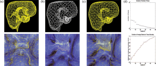 Figure 6. Contrasting decimation methods on the brain surface: (a) the existing method, featuring a wireframe of the overall brain surface mesh and a closeup of the wireframe overlaid on the rendering of the brain surface, centered on the pituitary gland; (b) a radially varying simplex mesh, featuring wireframe and overlay closeup views as in (a); (c) a radially varying triangular surface, dual to the simplex mesh in (b). (d) Decimation statistics: (top) the number of faces, and (bottom) the average distance to the boundary plotted against simplex iteration, in going from the dual of (a) to (b) (2618 to 1051 faces). [Color version available online.]