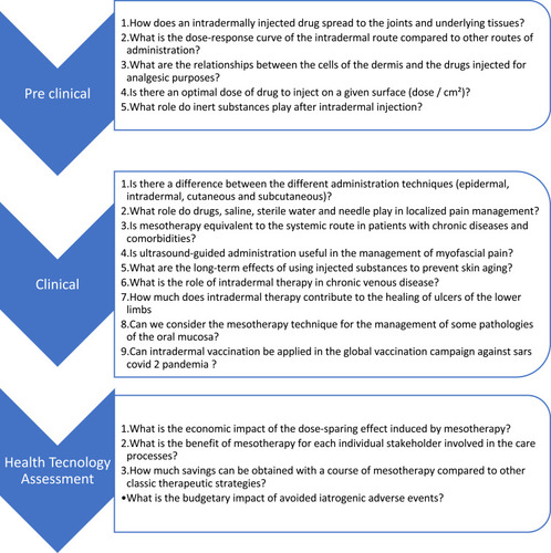 Figure 1 The main open questions on mesotherapy.