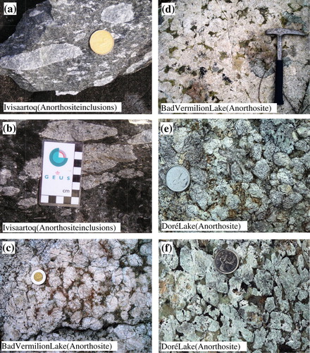 Figure 5. Field photographs of anorthosites in the Ivisaartoq greenstone belt (a and b), and the Bad Vermilion Lake (c and d) and Doré Lake (e and f) anorthosite complexes. (e) modified from Polat et al. (Citation2017).