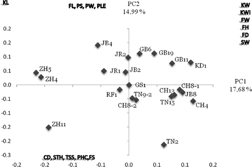 FIGURE 1 Plot of the first and second principal components resulting from a PCA of the pomegranate cultivars using morphological and chemical characters.