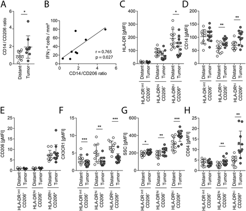 Figure 5. Characteristics of macrophages in distant mucosa and tumor tissue.(A) IHC stainings for CD14 and CD206 were used to calculate the CD14/CD206 ratio in distant mucosa and tumor tissue sections. (B) The tumor CD14/CD206 ratio was correlated with IFNγ mRNA+ cells of the same patients (n = 8). (C−H) CD14+ cells from distant mucosa and cancerous colorectal tissue of the same 11 patients were analyzed with flow cytometry. These cells were further subdivided into HLA-DRint/hi and CD206−/+ cells. (C) Geometric mean fluorescence intensity (gMFI) values of HLA-DR (C), CD14 (D), CD206 (E), CX3CR1 (F), SSC (G), and CD64 (H) of the subgroups are illustrated. Error bars show mean with SD; * p < 0.05, ** p < 0.01, *** p < 0.001