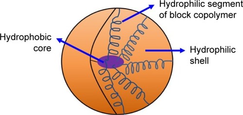 Figure 5 Structure of PMs.Abbreviation: PM, polymeric micelle.