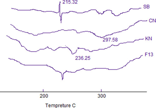 Figure 7 DSC thermogram of pure salbutamol sulfate SB, chitosan CN, carrageenan, and optimized formula F13.