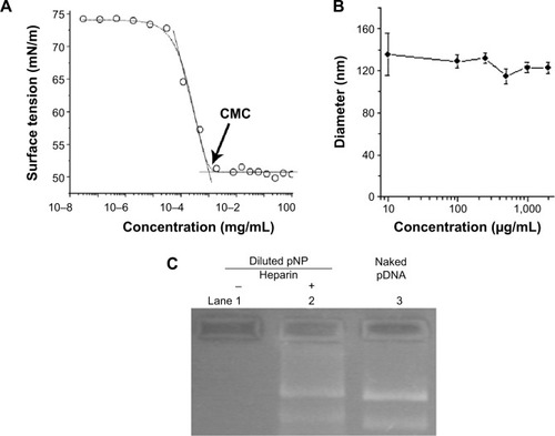 Figure 1 Stability of plasmid deoxyribonucleic acid (pDNA)-loaded lipopolysaccharide-amine (LPSA) nanopolymersomes (pNPs) against dilution.Notes: (A) Plot of surface tension of pNP solution versus logarithm of LPSA concentration at 25°C for determination of critical micelle concentration (CMC), (B) changes in particle size of pNPs with LPSA concentration, (C) gel electrophoresis of diluted pNP (N/P=60) solution containing 15 μg/mL LPSA and 0.875 μg/mL pDNA without (lane 1) or with (lane 2) heparin dissociation treatment as well as 8.75 ng naked pDNA (lane 3).