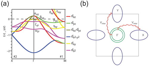 Figure 2. (a) Calculated orbital assignment band structure of iron pnictide based on the five-band model [Citation33]. (b) Minimal Fermi surface presented with hole pockets (green lines) at the centre (Γ) of the 1-Fe lattice Brillouin zone and electron pockets (blue lines) centred at the X = (π, 0) and Y = (0,π) points of the Brillouin zone. V inter is the inter-pocket interaction [Citation14]