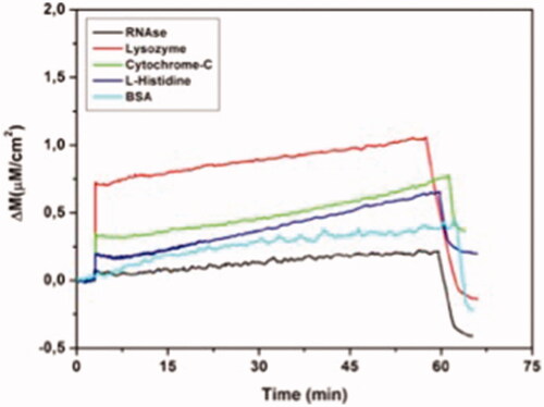 Figure 8 Real-time responses of MIP QCM biosensor against aqueous solutions for RNAase, lysozyme, cytochrome-C, l-histidine and BSA. Experimental conditions; pH 7.4, flow rate: 1.0 mL/min, concentration of RNAase, lysozyme, cytochrome-C, l-histidine and BSA: 96.6 µM.