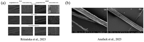 Figure 11. SEM images (a) view of flax and hemp fibers; (b) SEM images of raw jute and extracted jute fibers.