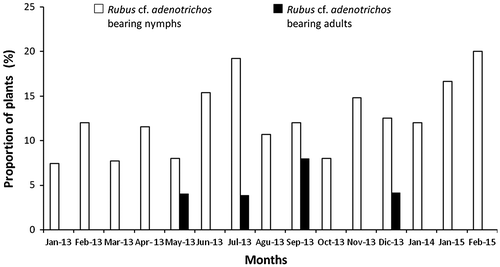 Figure 1. Proportion of Rubus cf. adenotrichos individuals bearing Heniartes stali in El Tanque, Cerro La Bandera, Mérida, Venezuela from January 2013 to January 2014 and January–February 2015. Each month value represents the records grouped from two visits.