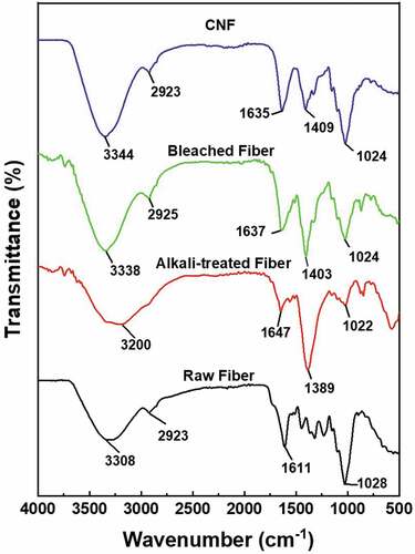 Figure 3. FTIR spectra of Muntingia fiber without alkalizing, bleaching, and CNF treatment.