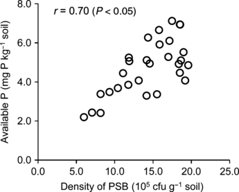 Figure 3 Relationship between available P (Olsen) in soil and population density of phosphate-solubilizing bacteria (PSB). The relationship was examined by means of the population density of PSB at the 10th day of the incubation experiment.