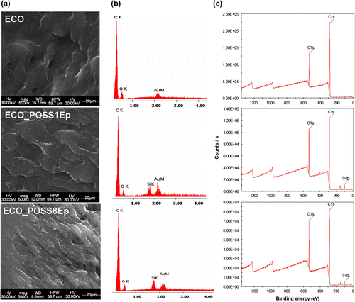 Figure 6. (a) SEM images, (b) corresponding EDX spectra, and (c) XPS survey spectra of the neat ECO and ECO_POSS hybrid systems.