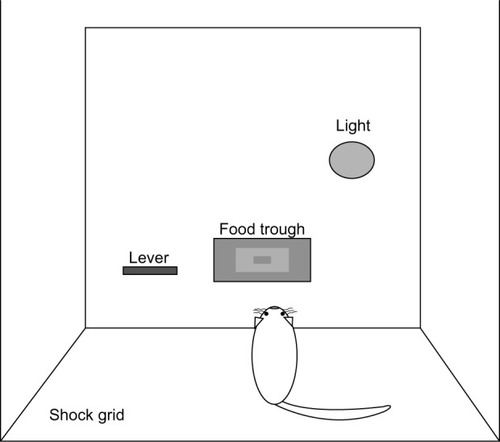 Figure 2 Signaled avoidance (SA) operant chamber arrangement.