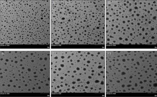 Figure 2 TEM images of nanosystems. (I) Blank nanosystem (F0). (II) Undecorated finasteride nanosystem (FNS-NS) (F1). (III) 0.125% FNS-NS (F2). (IV) 0.25% FNS-NS (F3). (V) 0.5% FNS-NS (F4). (VI) 1% FNS-NS (F5).