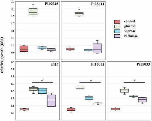 Figure 5. Carbohydrate utilization of P. intermedia strains. Bacterial growth in the presence of carbohydrates is expressed as a ratio relative to growth in the absence of carbohydrates (control). *, P <0.01, versus control. Mann-Whitney U test.