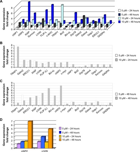 Figure 2 Dose- and time-dependent gene expression profiles.