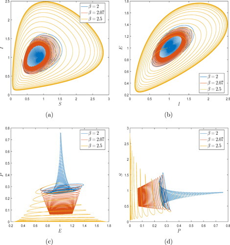 Figure 12. Two-dimensional phase diagram for eco-epidemiological model Equation(8)(8) C0DtφS=S[r(1−S+Ig)−βE],C0DtφI=βSE−νI−aIPm+I,C0DtφE=ϵI−ϱE,C0DtφP=P(−d+bIm+I),(8) with φ=1 and various β=2,2.07,2.5 respectively by Caputo Toufik-Atangana (TA) scheme.