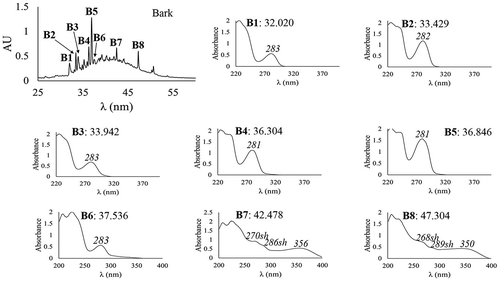 Figure 3. HPLC chromatogram and DAD-obtained UV spectra of the bark phenolic compounds from Malpighia umbellata. HPLC chromatogram was registered at 340 nm with an acidified water–acetonitrile gradient method. DAD-obtained UV spectra were obtained between 200 and 400 nm. Retention time (min) and λmax (in italics) are indicated.Figura 3. Cromatograma y espectros UV obtenidos con HPLC-DAD de los compuestos fenólicos de la corteza de Malpighia umbellata. El cromatograma se registró a 340 nm con un método en gradiente de agua acidificada y acetonitrilo. Los espectros UV se obtuvieron entre 200 y 400 nm. Se indican el tiempo de retención (min) y λmax (en cursivas).