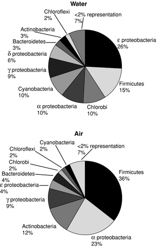 FIG. 2 Phylogenetic distribution of rRNA sequences observed from pooled atmospheric samples and nearby aerated/turbulent floodwaters.