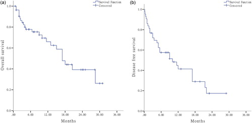 Figure 2. (a) Overall survival (OS). (b) Disease free survival (DFS).