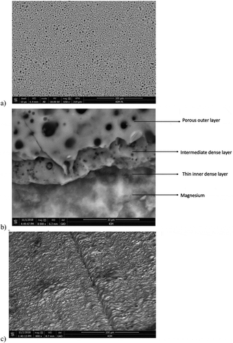 Figure 2. Surface morphology of magnesium alloy: a) Mg/PEO surface and b) cross-section and c) Mg/PEO/primer, view at an angle; SEM