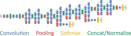 Figure 2. Schematic representation of the GoogLeNet. Credits (Szegedy et al. Citation2015).