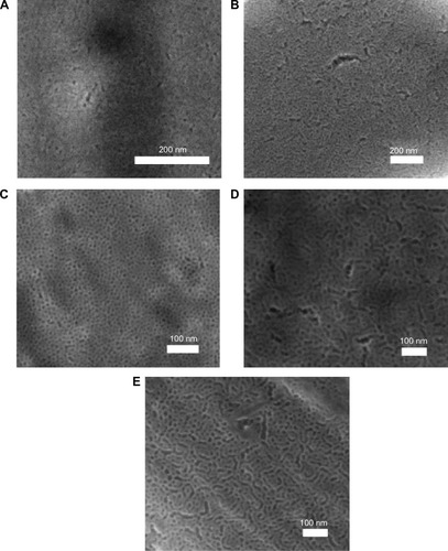 Figure 1 SEM micrographs of mesoporous titania thin films.Notes: SEM micrographs of mesoporous titania thin films prepared with the following structure-directing agents: (A) CTAB, (B) BRIJ S10, (C) P123, (D) P123 and PPG as swelling agents with a ratio of 1:0.5 (PPG-0.5), and (E) P123 and PPG as a swelling agent with a ratio of 1:1 (PPG-1).Abbreviations: CTAB, cetyltrimethylammonium bromide; PPG, poly(propylene glycol); SEM, scanning electron microscopy.