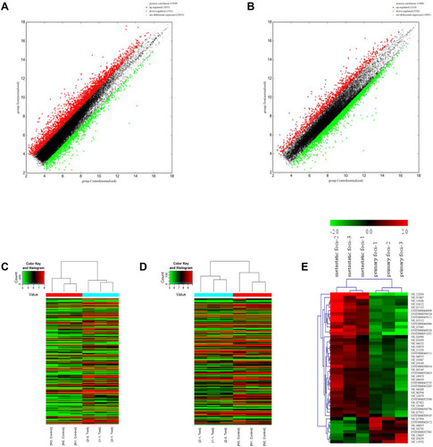 Figure 1 The expression profile comparison of lncRNAs and mRNAs between peritoneal metastasis lesion and primary foci. (A) The lncRNAs expression variation between peritoneal metastasis lesion and primary foci. (B) The mRNAs expression variation between peritoneal metastasis lesion and primary foci. The red and green dots in (A) and (B) indicated the expression levels of lncRNAs and mRNAs with fold change >2. (C) The heat map of lncRNAs. (D) The heat map of mRNAs. (E) The heat map of lncRNAs with fold change >2. The lncRNAs were selected according to whether their biological function was known.