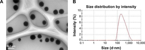 Figure 2 (A) TEM and (B) DLS of the formulation.Notes: (A) Presents the representative particle shape and size of F127COOH-EFV nanodrug around 120–140 nm using the TEM technique, which shows excellent monodispersion directly. (B) Displays the hydrodynamic radius of F127COOH-EFV nanodrug particles in the aqueous solution about 130 nm using the DLS technique with small size distribution index (PDI) as 0.10. The hydrodynamic size in aqueous dispersion by the method of DLS has high consistency with the TEM results.Abbreviations: DLS, dynamic laser scattering; EFV, efavirenz; PDI, polydispersion index; TEM, transmission electron microscopy.