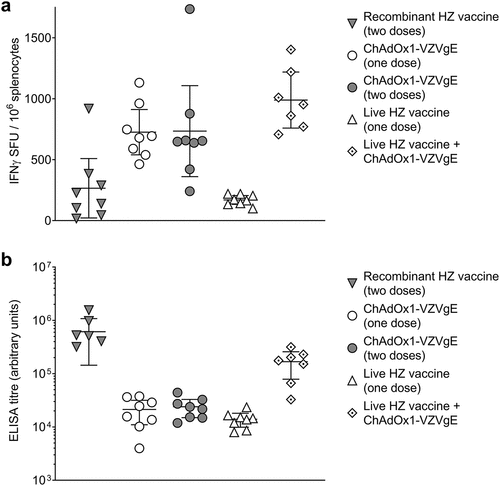 Figure 3. Cellular (a) and humoral (b) immunogenicity of five VZV vaccination regimens in CD-1 mice.